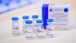 Việt Nam tiếp nhận 1.000 liều vaccine Sputnik V quà tặng của Nga