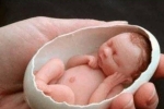 Bé sơ sinh nhỏ nhất thế giới: Sinh ra chỉ dài 25 cm, có thể nằm gọn trong vỏ trứng gà