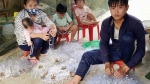 Quảng Nam: Ba bệnh nặng, nguy cơ liệt, con trai phải nghỉ học