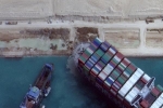 Núi hàng hóa và 130.000 gia súc trên tàu mắc kẹt ở kênh đào Suez