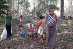 CNN: Lần đầu bị không kích trong 20 năm, hàng nghìn người Myanmar bỏ nhà, trốn vào rừng