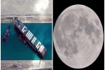 Mặt trăng đã 'giải cứu' siêu tàu mắc kẹt ở kênh đào Suez thế nào?