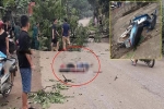 Lào Cai: Chặt cây trước nhà, cây đổ ra đường đè thanh niên đi xe máy tử vong