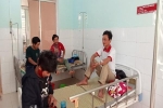 Ăn nấm lạ, 5 người ở Quảng Nam nhập viện