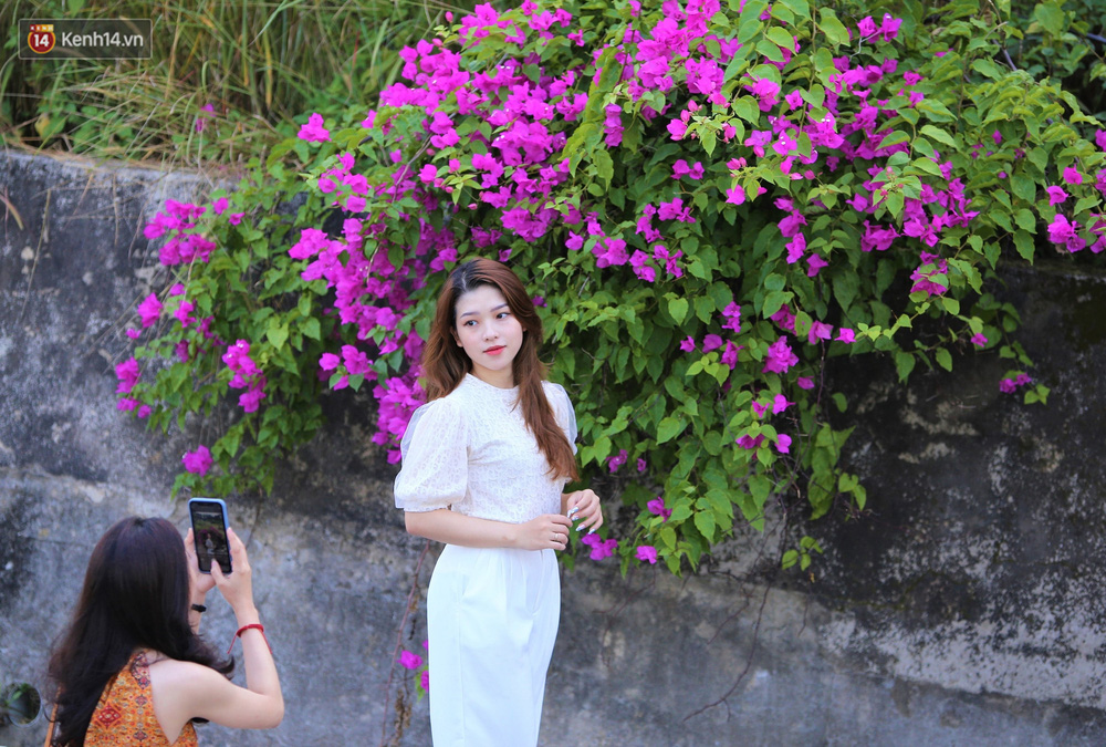 Con đường hoa giấy“ ở Đà Nẵng có gì hot mà giới trẻ rần rần kéo đến ...