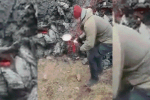 Clip: Người đàn ông nấu thịt, trứng trên núi lửa đang hoạt động