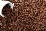 Giá cà phê hôm nay 23/4: Điều chỉnh trái chiều trên thị trường thế giới