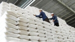 Cấp hơn 953 tấn gạo cứu đói cho nhân dân ở Cao Bằng và Sơn La