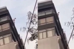 Clip: Nhảy từ tầng thượng của khách sạn trung tâm Hà Nội, nam thanh niên tử vong tại chỗ trước sự bàng hoàng của người dân