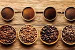 Giá cà phê hôm nay 15/5: Nguyên nhân khiến giá cà phê 'lao dốc không phanh'