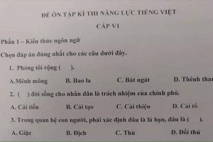 Đề thi năng lực tiếng Việt của Nhật Bản đọc xong lú luôn, có người còn nghi ngờ khả năng nói tiếng mẹ đẻ của mình vì quá khó