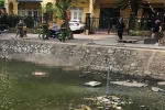 Vụ thi thể người đàn ông nổi trên mặt hồ ở Hà Nội: Xác định danh tính nạn nhân