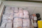 Sự thật về chiếc tủ lạnh chứa hơn 1.000 thai nhi vừa được cảnh sát phát hiện ở Hà Nội
