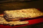 Chuyên gia khai quật được 5,5 kg vàng trong lăng mộ, nửa năm sau đem cân đã hụt đi 1 kg: Uẩn khúc ở đâu?