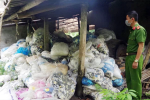 Ngăn chặn 13,5 tấn rác găng tay y tế chuẩn bị 'tái chế'