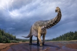 Phát hiện hóa thạch gây sốc của loài 'siêu quái thú nặng 74 tấn'