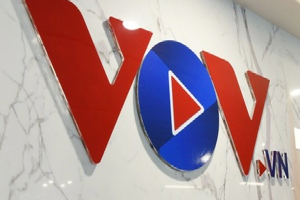 Thông tin cho rằng bà Nguyễn Phương Hằng thuê nhóm hacker tấn công báo VOV là suy diễn