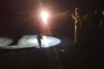 Bé gái 2 tuổi đi lạc một mình trên đường Hồ Chí Minh trong đêm tối