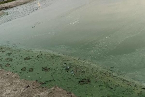 Nước sông Hằng đột nhiên xanh lạ thường, chuyên gia cảnh báo nguy hiểm chết người