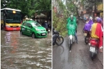 Hà Nội mưa to trắng trời, gió lớn quật đổ cây trên đường: Những hình ảnh được liên tục chia sẻ trên MXH