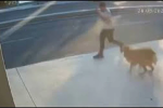 Clip: Bị chó thả rông dọa giật mình, chàng trai gặp tai nạn thảm khốc trong phút chốc
