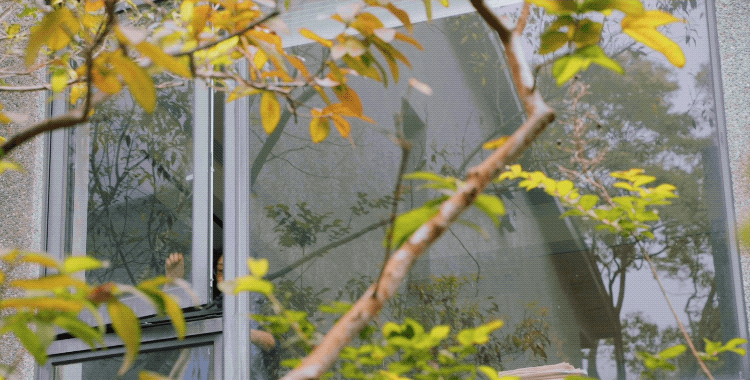 Chị Châu sống ở ngôi nhà "Tiểu Mãn" có thể trò chuyện với nhà Kevin từ cửa sổ.