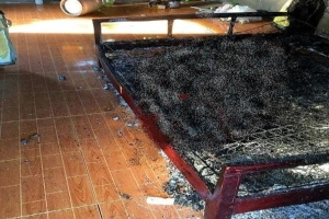 Vụ thi thể cháy đen trên giường trong căn nhà cấp 4 giữa vườn cây: Hiện trường có gì?