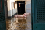 Nạn nhân lũ lụt ở Trung Quốc: Tôi mất tất cả, bầu trời như sụp xuống