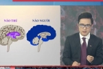 Tranh cãi BTV của VTV ví von 'não người' - 'não thú' để cà khịa những trường hợp vi phạm quy định giãn cách