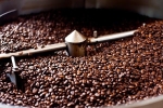 Giá cà phê hôm nay 14/8: Covid-19 phủ bóng đen lên cà phê trong thứ Sáu ngày 13