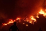 Rơi máy bay cứu hỏa ở Thổ Nhĩ Kỳ, 8 người thiệt mạng