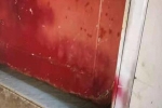 Thấy có máu chảy ra trong nhà vệ sinh công cộng, người phụ nữ vội báo cảnh sát, cảnh tượng bên trong khiến nhiều người sợ hãi