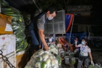 Xếp hàng đi chợ đầu mối mua rau củ lúc nửa đêm ở Hà Nội