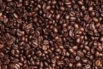 Giá cà phê hôm nay 31/8: Arabica tăng sốc, trong nước vẫn neo ở mức cao 40.000 đồng/kg