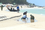 Phát hiện thêm dầu 'lạ' dày đặc dọc bờ biển Quảng Bình
