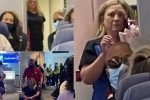 Nữ hành khách hầu tòa vì đánh gãy răng của tiếp viên hàng không