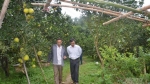 75 sản phẩm nông nghiệp tốt của Tuyên Quang lên sàn thương mại điện tử