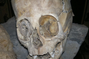 Nhà khảo cổ học phát hiện hộp sọ khổng lồ, kết quả trả về khiến tất cả 'chết lặng': Đây không phải ADN của con người