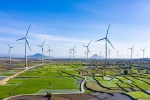 Kỳ 1: Đại gia bất động sản đầu tư nghìn tỉ vào điện gió