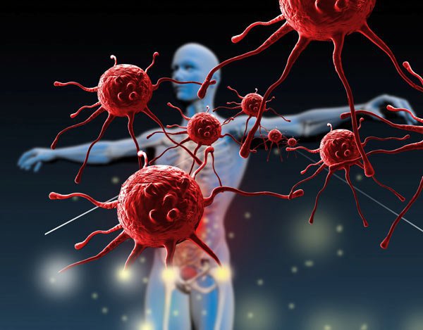 Hệ thống miễn dịch của cơ thể sẽ phản ứng bằng cách tấn công virus hoặc vi khuẩn lạ.