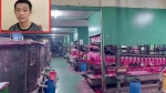 Phú Thọ: Bắt giam công nhân 3 lần mò vào công ty huỷ hoại tài sản