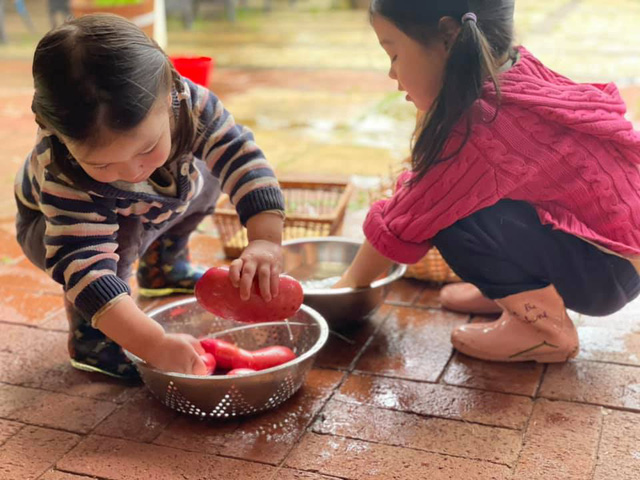 Người phụ nữ Việt ở Australia trồng cây trái khổng lồ trong vườn 1 ha - Ảnh 12.