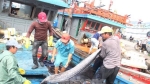 Kiểm soát chặt hoạt động tại Cảng cá Phan Thiết để phòng chống dịch