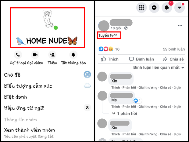 Một bài đăng tuyển thành viên vào box chat tên "Home nude" được rất nhiều người hưởng ứng.