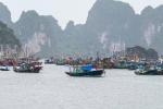 Hải Phòng, Quảng Ninh cấm biển, kêu gọi tàu thuyền vào bờ