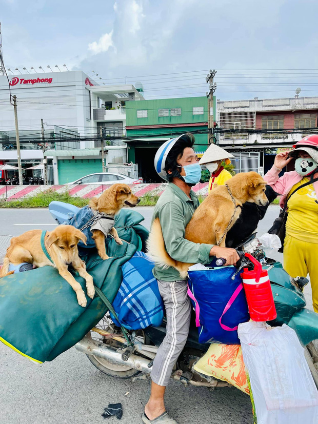 Hình ảnh vợ chồng chú Hùng bên đàn chó trong hành trình về quê trước đó.