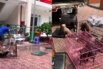 Người phụ nữ thành F0, chính quyền Biên Hòa đón 12 chú chó về chăm: 'Gia đình rất biết ơn'