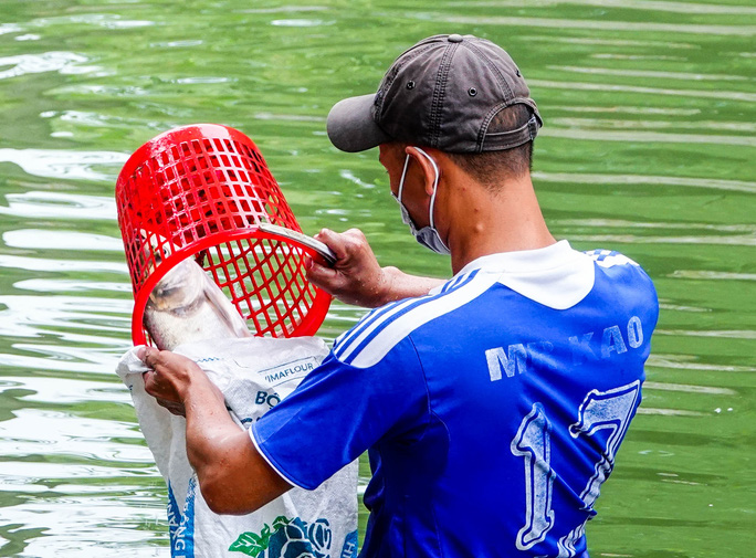 CLIP: Sông Tô Lịch bất ngờ xanh, nhiều người dân vui mừng bắt hàng tạ cá - Ảnh 10.