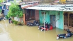 Mưa lũ khiến 5.400 ngôi nhà ở Quảng Nam bị ngập, 2.535 người phải sơ tán, 1 người mất tích