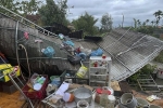 Lốc xoáy làm tốc mái gần 100 ngôi nhà ở Quảng Ngãi